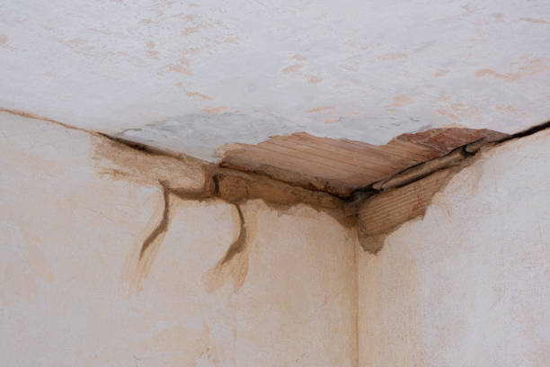 Best Water damage restoration specialists  in Molalla, OR