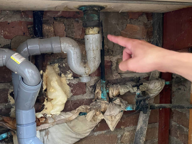 Best Fire Damage Restoration  in Molalla, OR